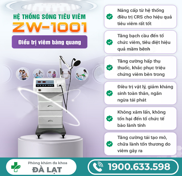 Hình ảnh minh họa